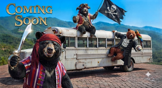 Pirate Party (COMING SOON)
